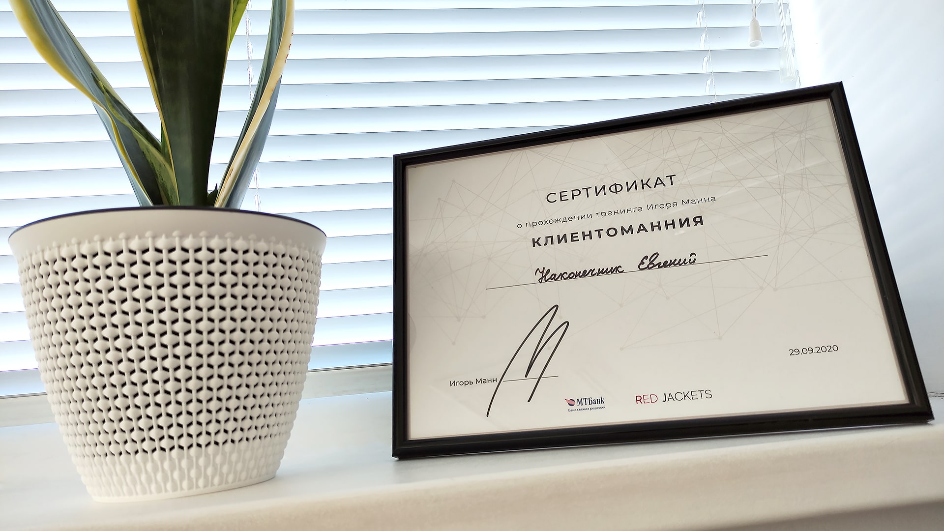 Сертификат бизнес-тренинга Игоря Манна